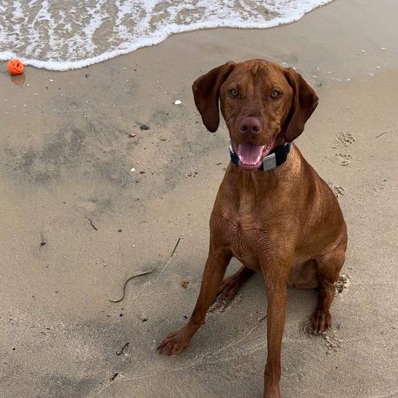 Welcome To My Plethora Of Stuff! - Picture 6 of 6